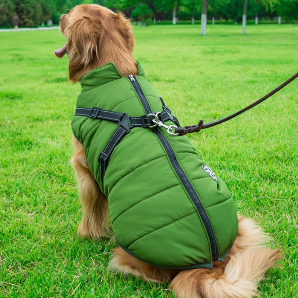 DogFashion™ vedenpitävä talvitakki koirille