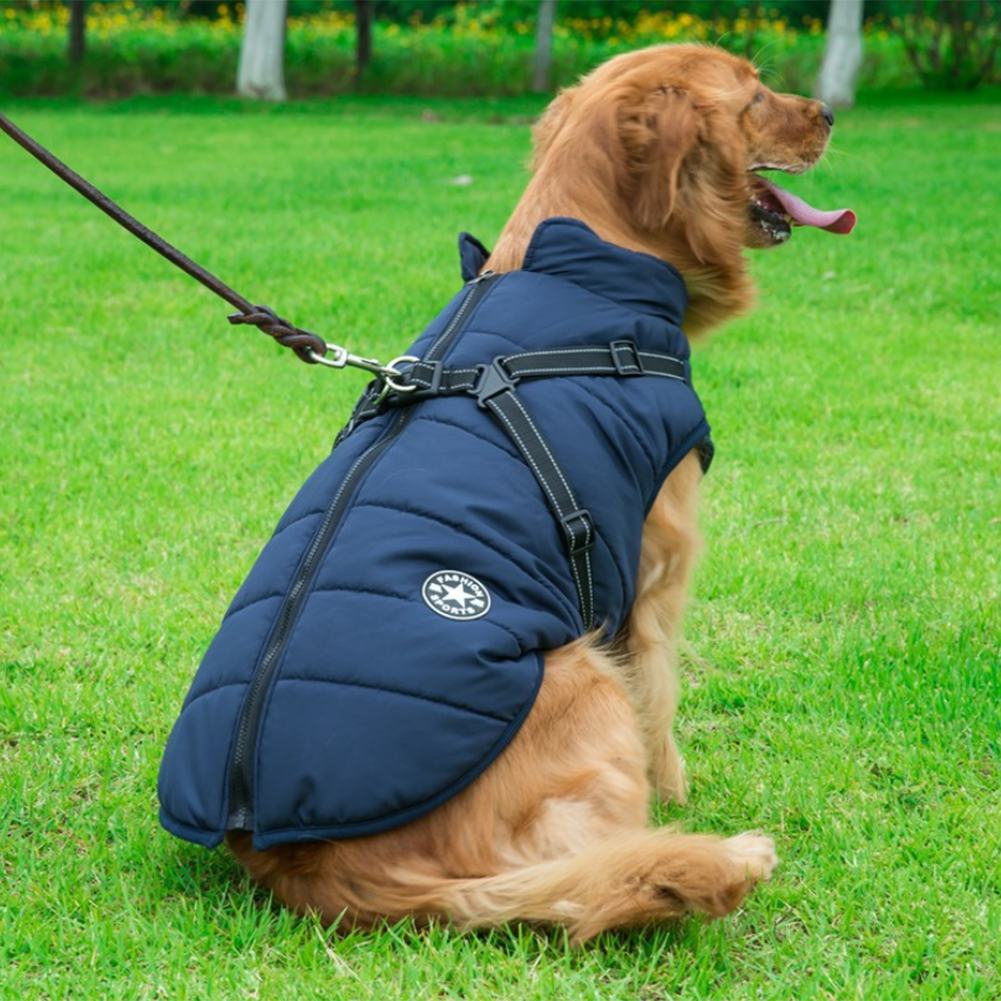 DogFashion™ vedenpitävä talvitakki koirille