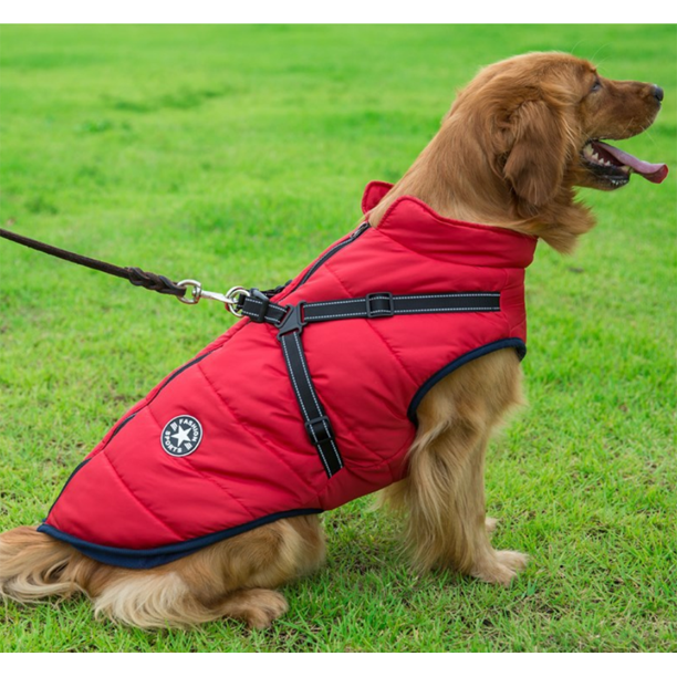 DogFashion™ vedenpitävä talvitakki koirille
