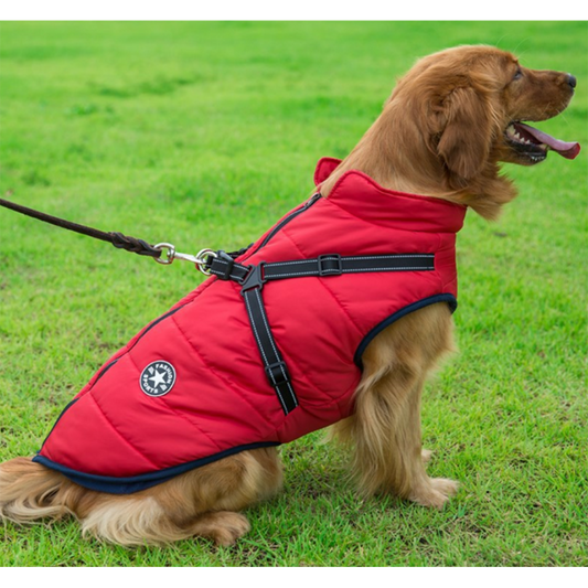 DogFashion™ vedenpitävä talvitakki koirille